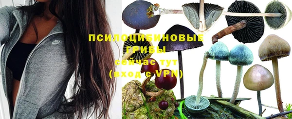 прущая мука Беломорск